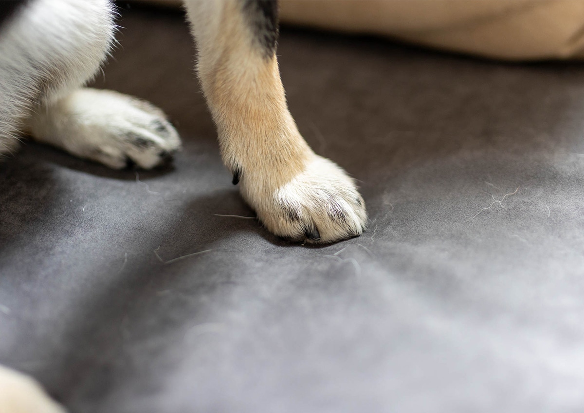 ADRS カーラ ソファ ペット対応生地