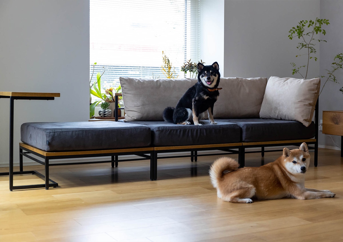 ADRS カーラ ソファ ペット対応生地