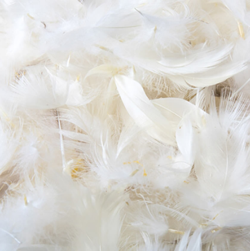 優しい弾力のフェザー