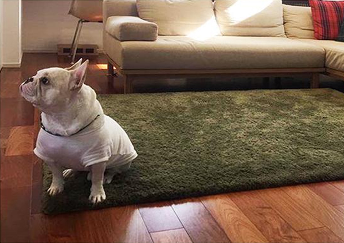 お部屋のご紹介 石川県H様 広いお部屋を最大に生かすSIEVE レクトユニットソファ ワイド＆ロング