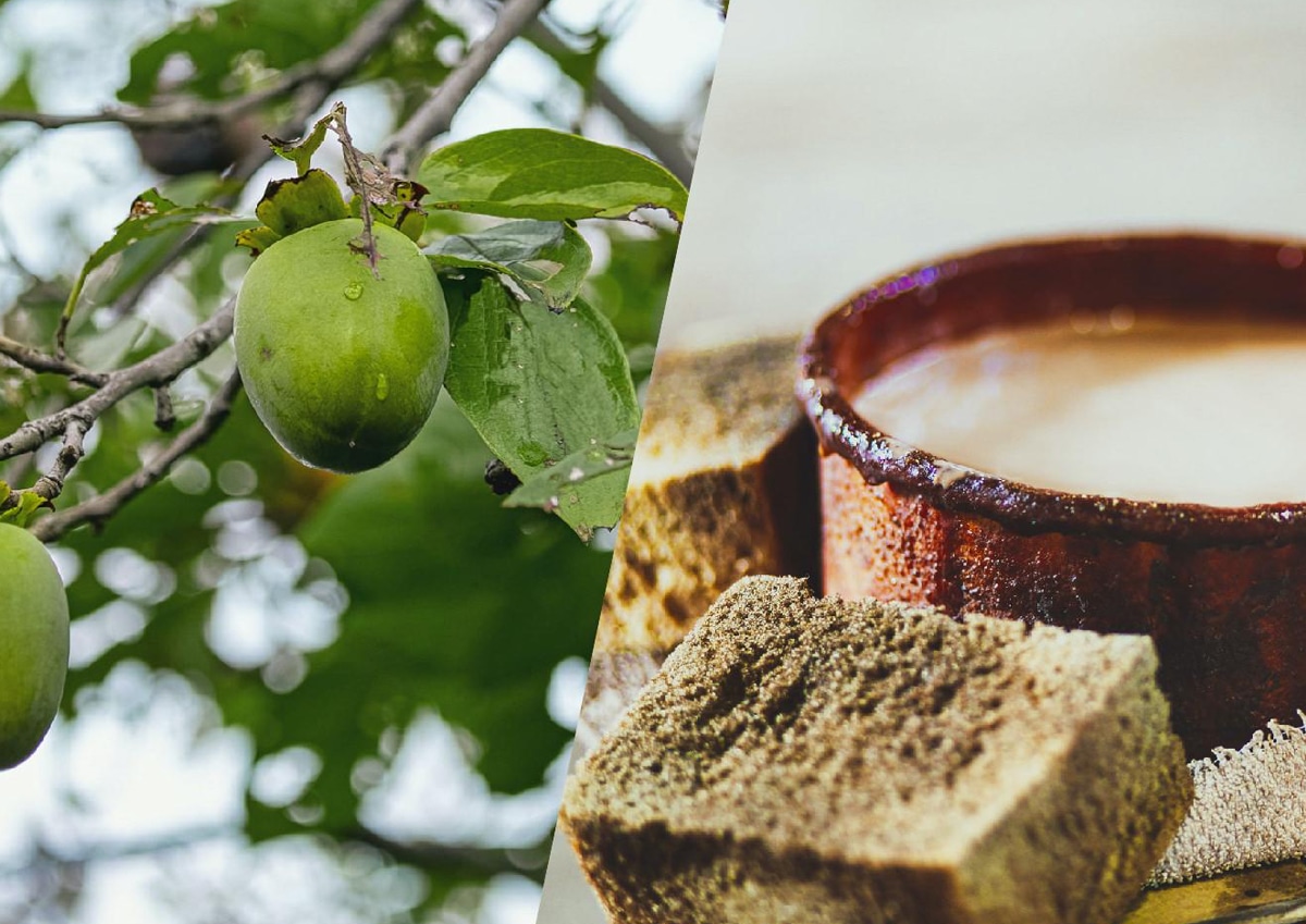 抗ウイルス効果もある天然塗装 柿渋 とは