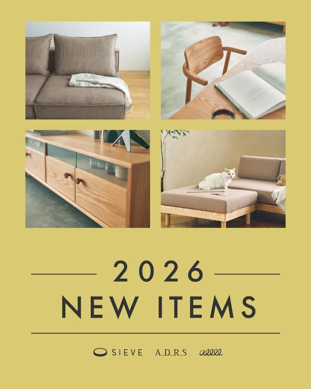 SIEVE 新商品｜2026 NEW ITEM｜SIEVE(シーヴ)公式通販